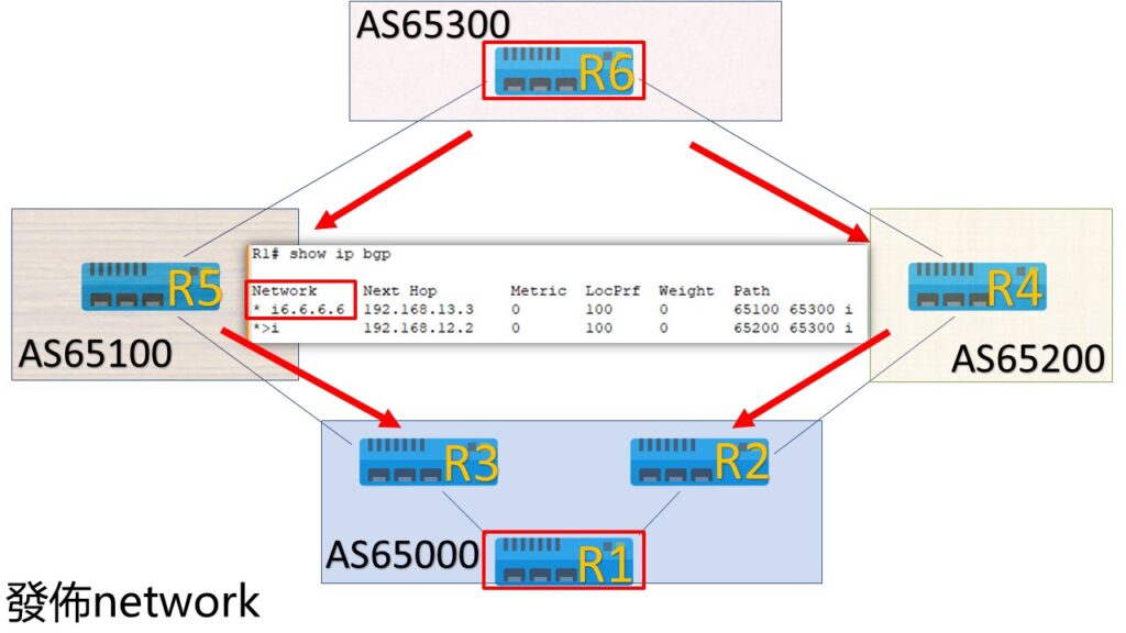 bgp network