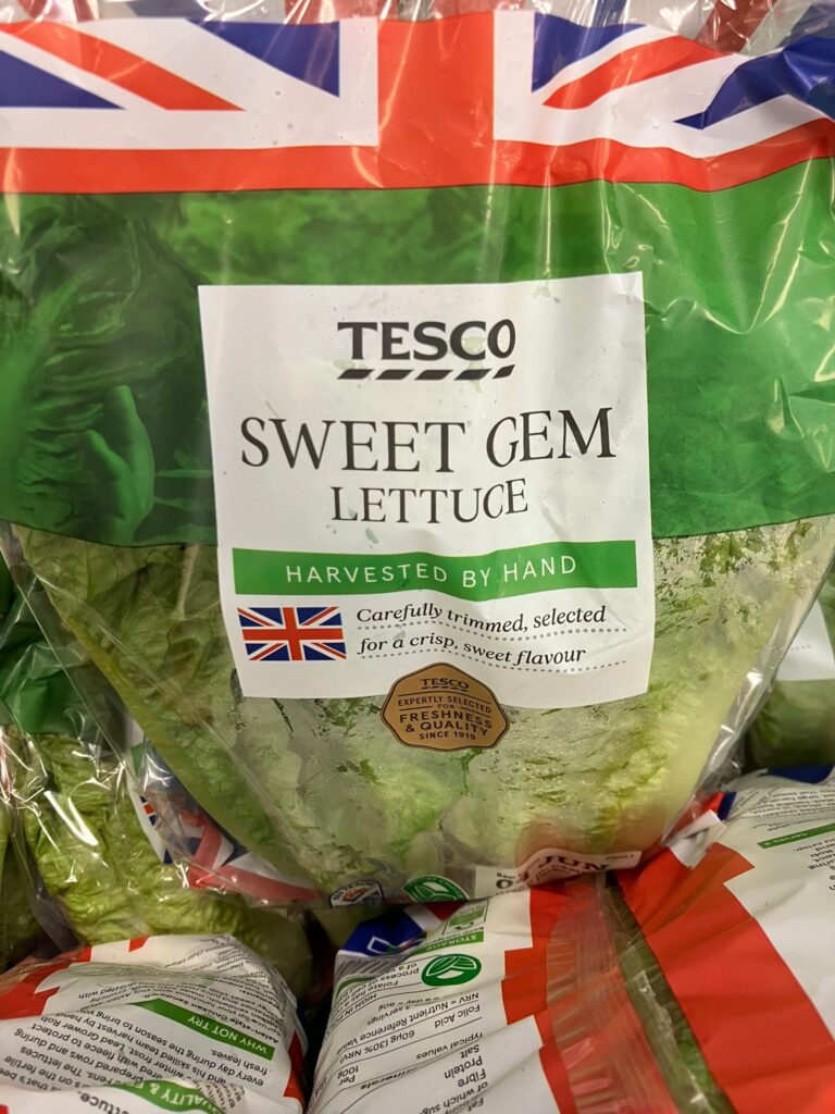 Sweet Gem Lettuce